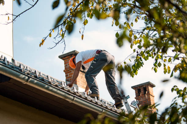 Gutter Replacement in Ridgely, TN