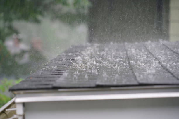 Best Chimney Flashing Repair  in Ridgely, TN